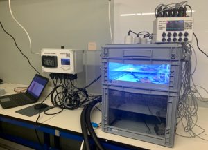 Indoor intertidal weather simulator for testing the effects of illumination, wind, temperature, and moisture on intertidal organisms.
