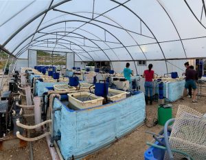 An Outdoor computer-controlled flow-through mesocosm system with 16 * 1.3 cubic meter tanks where temperature and pH can be manipulated with a delta-treatment approach. Ideal for testing climate change impacts on both species and communities. 